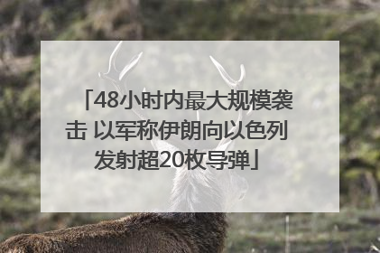 48小时内最大规模袭击 以军称伊朗向以色列发射超20枚导弹