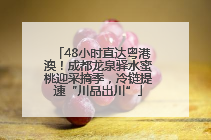 48小时直达粤港澳！成都龙泉驿水蜜桃迎采摘季，冷链提速“川品出川”