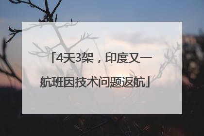 4天3架，印度又一航班因技术问题返航