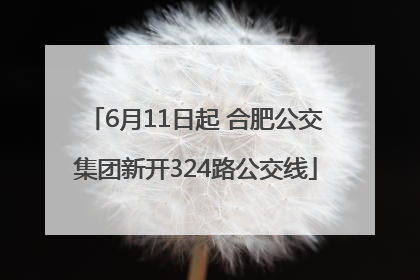 6月11日起 合肥公交集团新开324路公交线