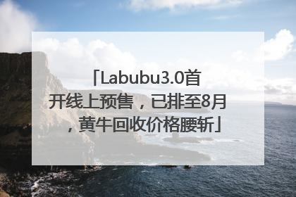 Labubu3.0首开线上预售，已排至8月，黄牛回收价格腰斩